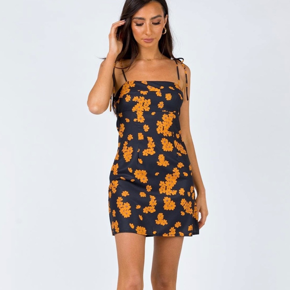 Princess poly dress